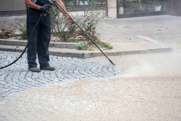 Animal Enclosure Cleaning in Yuba City, CA